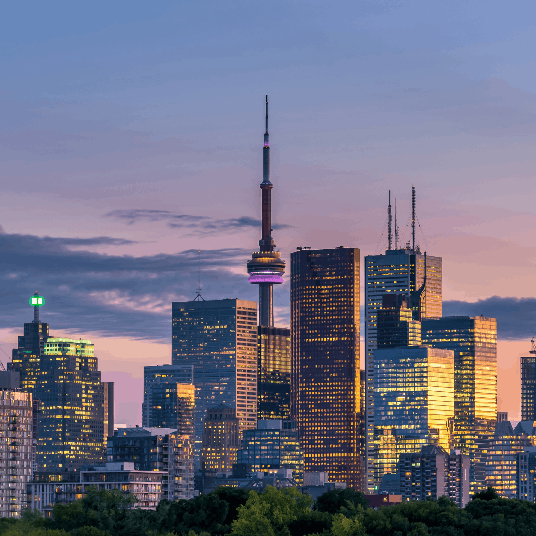 Netsuite partner toronto